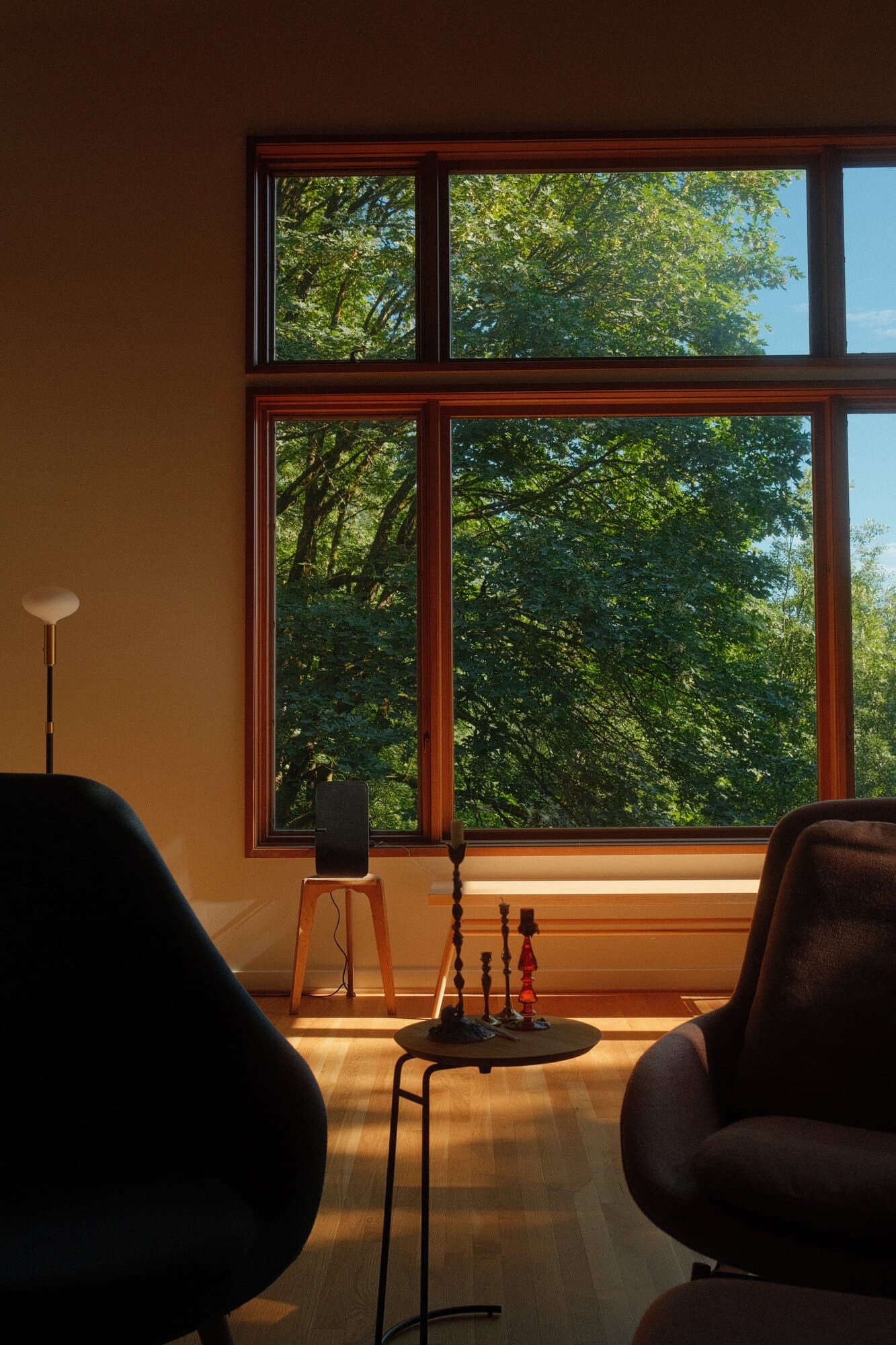 The living room of the house: fir-framed windows in three tiers looking into the trees, two chairs and a small table in low sun.